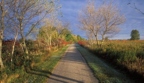 Rails to Trails Image
